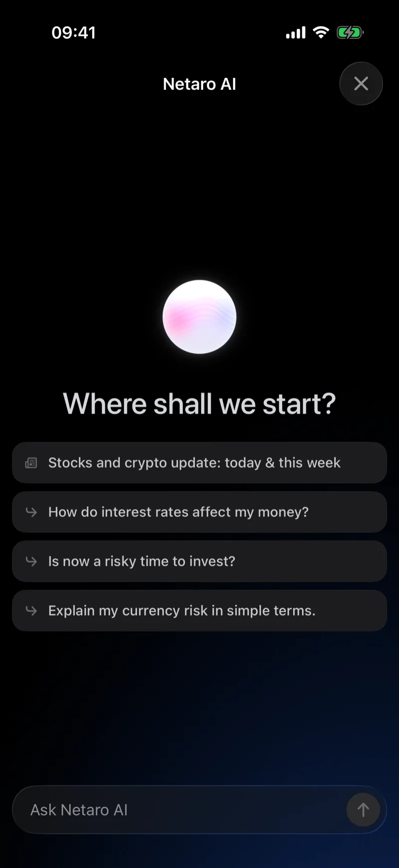 Netaro AI chat suggesting portfolio questions to ask