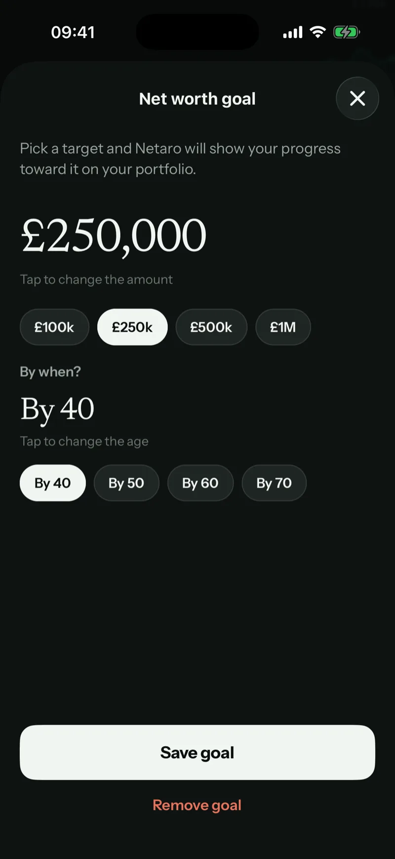 Netaro net worth goal screen set to £250,000 by age 40