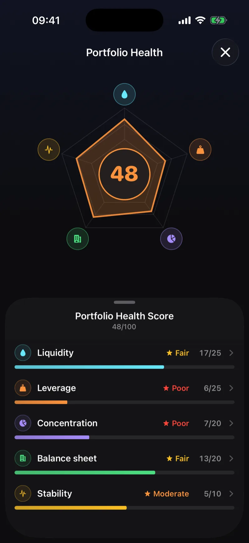 Netaro portfolio health screen scoring liquidity, leverage, concentration, balance sheet and stability